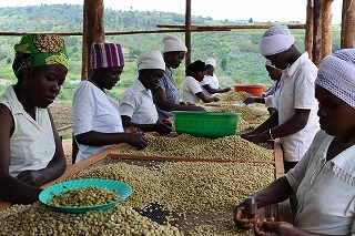 ルワンダ　スカイヒル