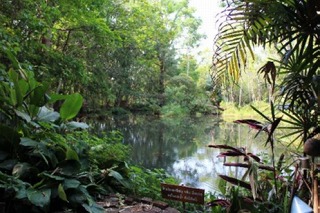 今月のオススメコーヒー　