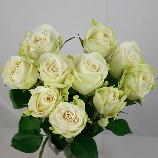 営業スケジュール