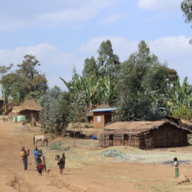 カフェインレス　シダモG2