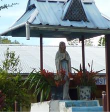 パプアニューギニア:天空の森～修道院のコーヒー～