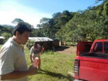 ニカラグア:JAVANICA  SWEET LEMON スイートレモン
