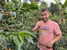 コロンビア:サルサ農園　ピンクブルボン